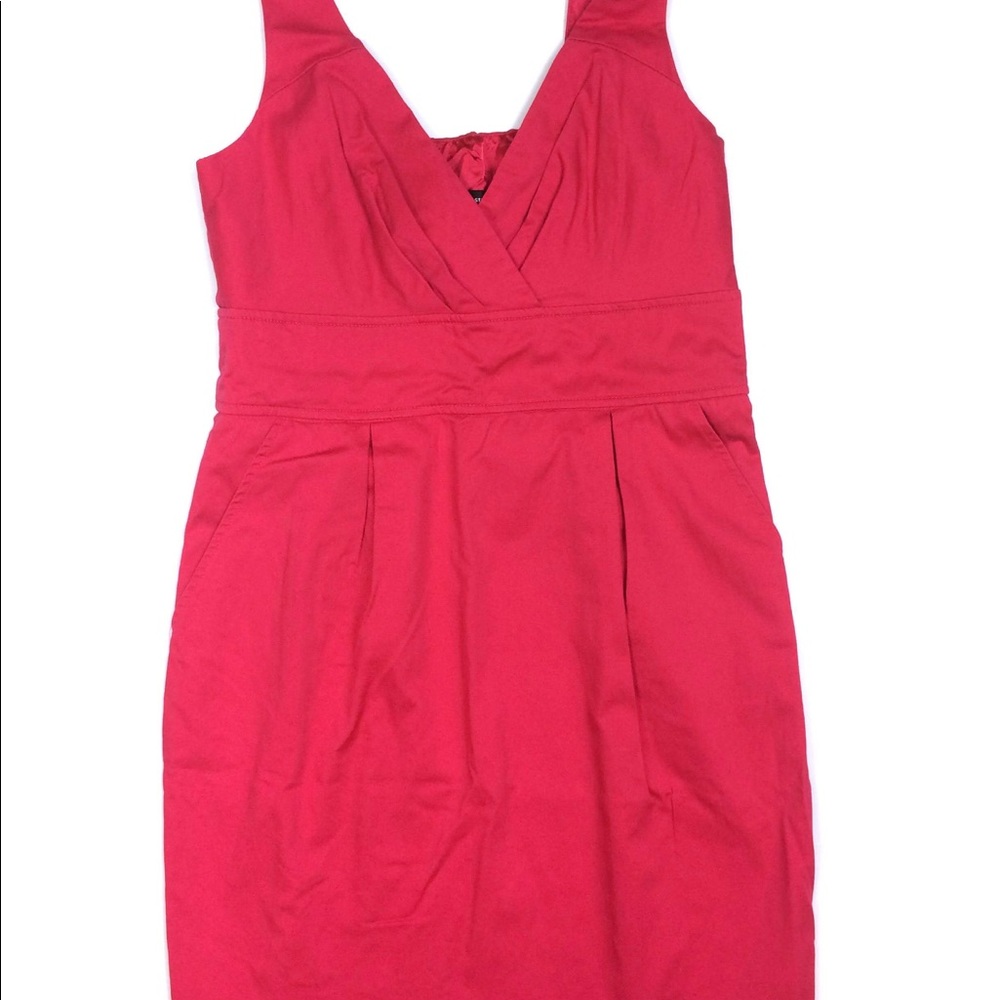 Express Pink Dress with Pockets